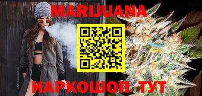 гашик Шебекино