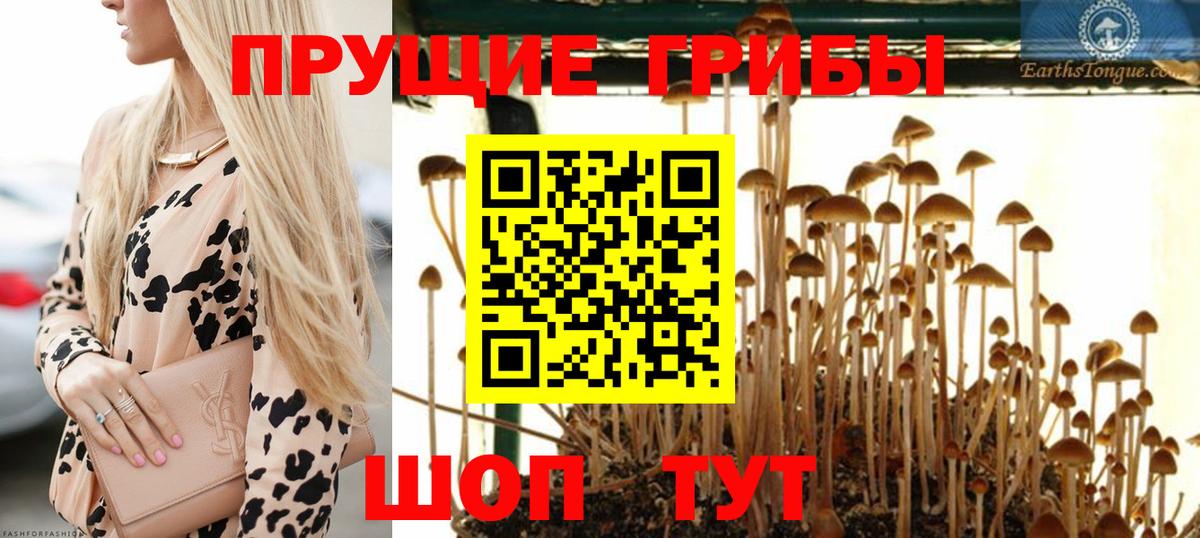 Псилоцибиновые грибы ЛСД Менделеевск